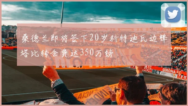 桑德兰即将签下20岁科特迪瓦边锋塔比转会费达350万镑