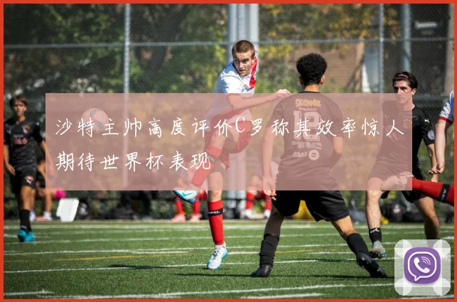 沙特主帅高度评价C罗称其效率惊人期待世界杯表现