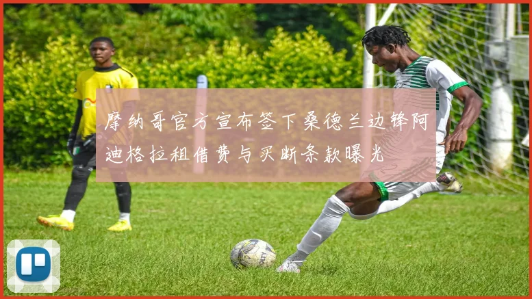 摩纳哥官方宣布签下桑德兰边锋阿迪格拉租借费与买断条款曝光