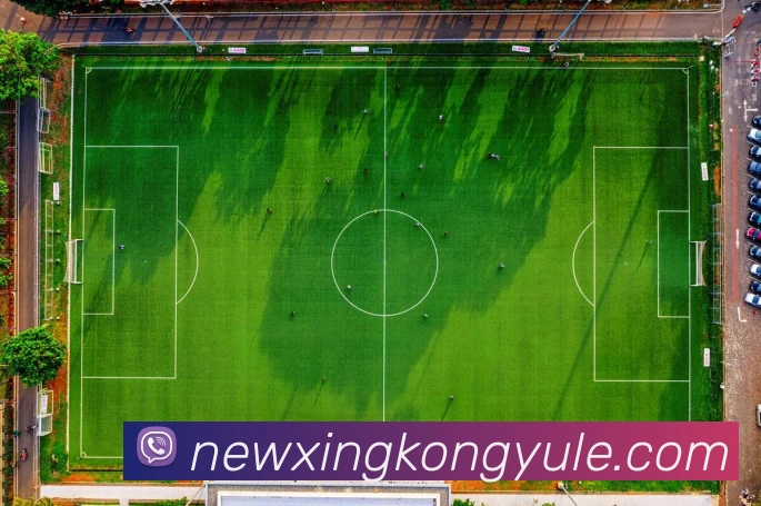 星空娱乐服务体系